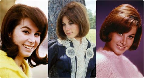 stephanie powers bikini|35 Beautiful Photos of Stefanie Powers in the 1960s.